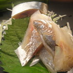 吉野鮓 - 小あじと秋刀魚刺身