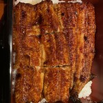 個室完備 海鮮と産地鶏の炭火焼 鶏菜 - 