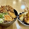 串の幸 - 天ぷら冷やしたぬきそば 