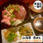Sankairi Seibou - 日替わり海鮮丼　Instagram@eiyasu77