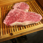 アカミヤコウシ - 