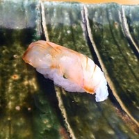 鮨長 - 