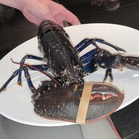 鉄板焼 RURI (アートホテル大阪ベイタワー) - 