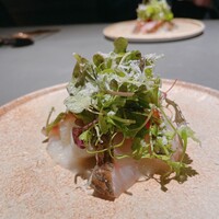 GapricE - 