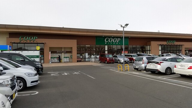 ピアット（Piatto） - 太子堂（麺類）の写真