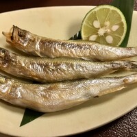 鮨 えい輝 - ししゃも
