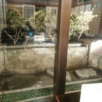鰻割烹 伊豆栄 本店 - ４階の窓の外の庭景色