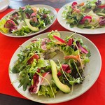 サンクスネイチャー - 