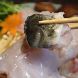 ふぐ真_0