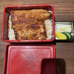 Shinjuku Unagi Kikukawa - 