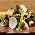 洋食 おがた - いろいろ秋野菜サラダ（山田ファーム）