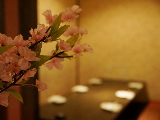 桜坂 西梅田店 西梅田 居酒屋 食べログ 桜坂 西梅田店 西梅田 居酒屋 食べログ