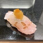 鮨と天草大王 天音 - 