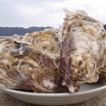 産地直送 お魚とお野菜 海畑 - 