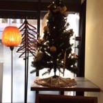 オステリア ブッビーノ - クリスマスツリー！