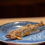 なかむら - 2023.8 興津川産鮎