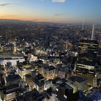 サンシャイン クルーズ・クルーズ - 