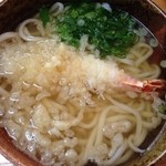 おぐまうどん - えび天うどん