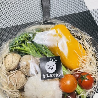 カワッペリ商店_0