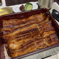 割烹蒲焼 横浜八十八 NEWoMan横浜店 -  割烹蒲焼 横浜八十八 NEWoMan横浜店 -