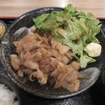 Toro Masa - 