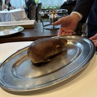 ポンドールイノ - 青首鴨