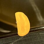 鮨がみ - 2023.12.  唐墨