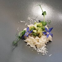 クイントカント - 