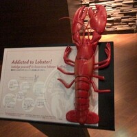 アトモス･イタリアンダイニング - 