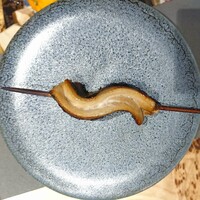 北海道炉端焼き 篝 - 大トロ鰯の塩焼き