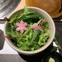 日本焼肉 はせ川 銀座店 - 