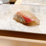 鮨結う紬 - 縞鯵