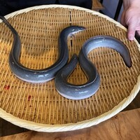 炭焼鰻 寝床 福島店 - 