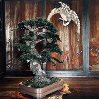 レストラン 翠葉 - 