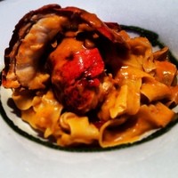RIGOLETTO KITCHEN - 