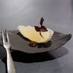 COCCHI - リフレッシュ