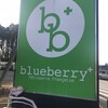 ブルーベリー 御殿場店