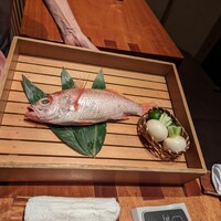 のどぐろ専門 銀座中俣 はなれ - 
