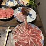229263560 - 