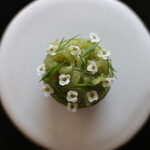 NOCE - 料理写真: