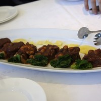 サンシャイン クルーズ・クルーズ - 牛肉赤ワイン煮込み