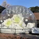 ITOCHU SDGs STUDIO RESTAURANT 星のキッチン - 