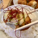 Howaito Gyoza Sagano Ya - バジルチーズ餃子、インパクトあるべ？
