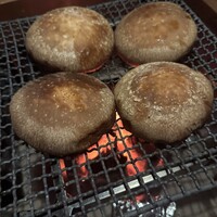 MyRoom雲母 - 