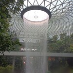 JAPANESE SOBA NOODLES TSUTA - Jewelのでっかい滝