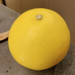 いっせん - 高知県産の文旦