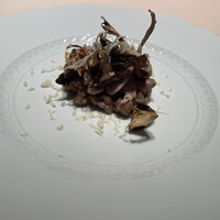 フォリオリーナ・デッラ・ポルタ・フォルトゥーナ - 