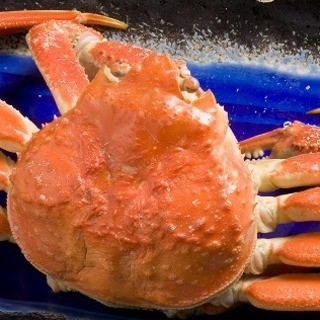 居酒屋 ちょん兵衛_2