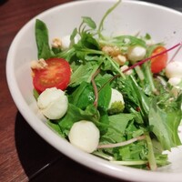 京洋食 まつもと - サラダ