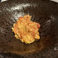 CINA New Modern Chinese - 